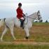 Fox Hunting In The Mid-South